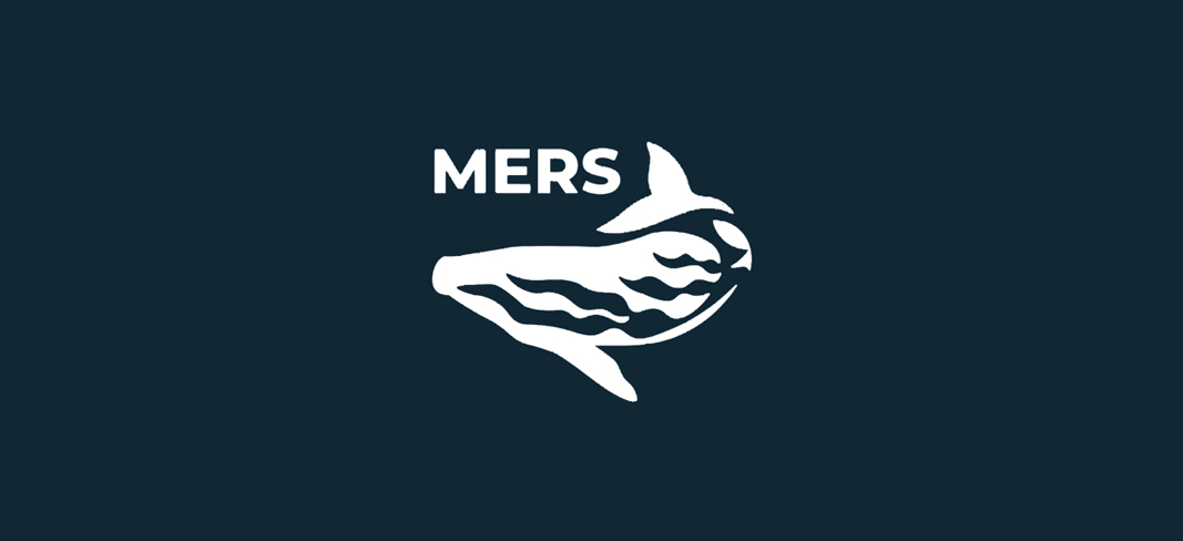 mers placeholder logo