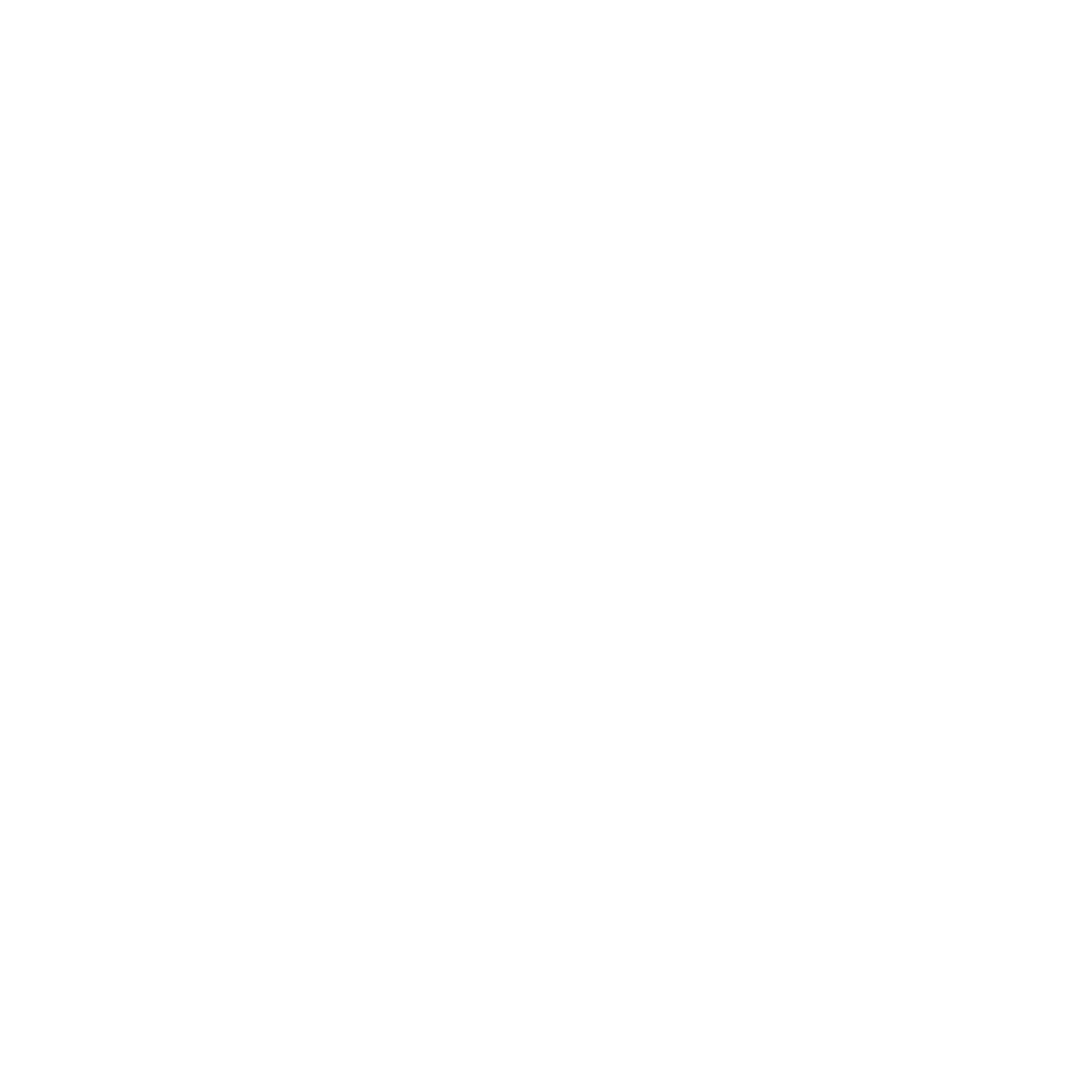 Orca Lab logo white