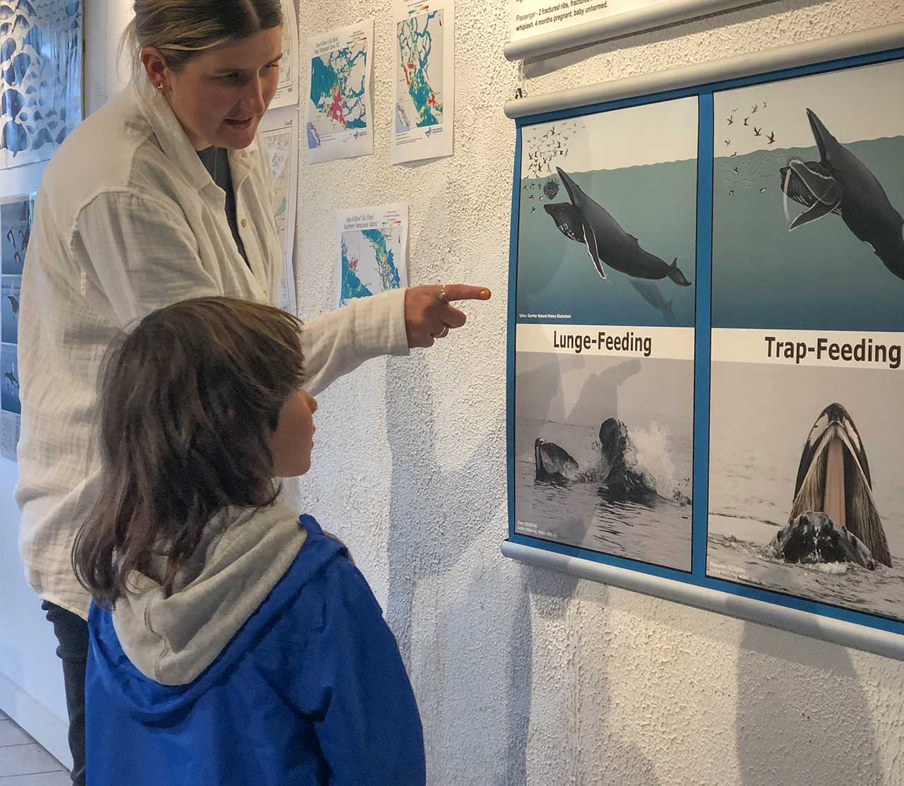 mers marine education research society educator showing child whale feeding images