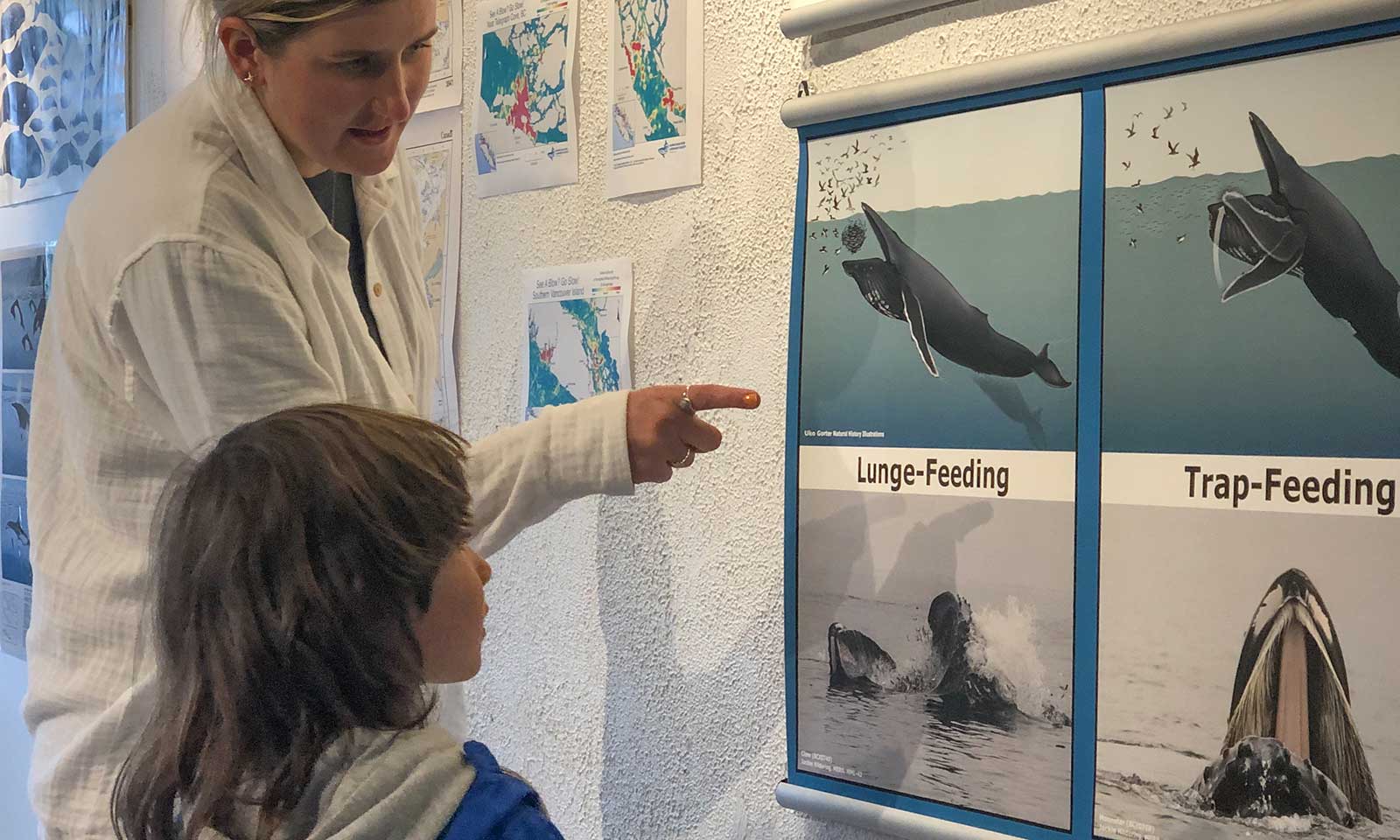 mers marine education research society educator showing whale images to child
