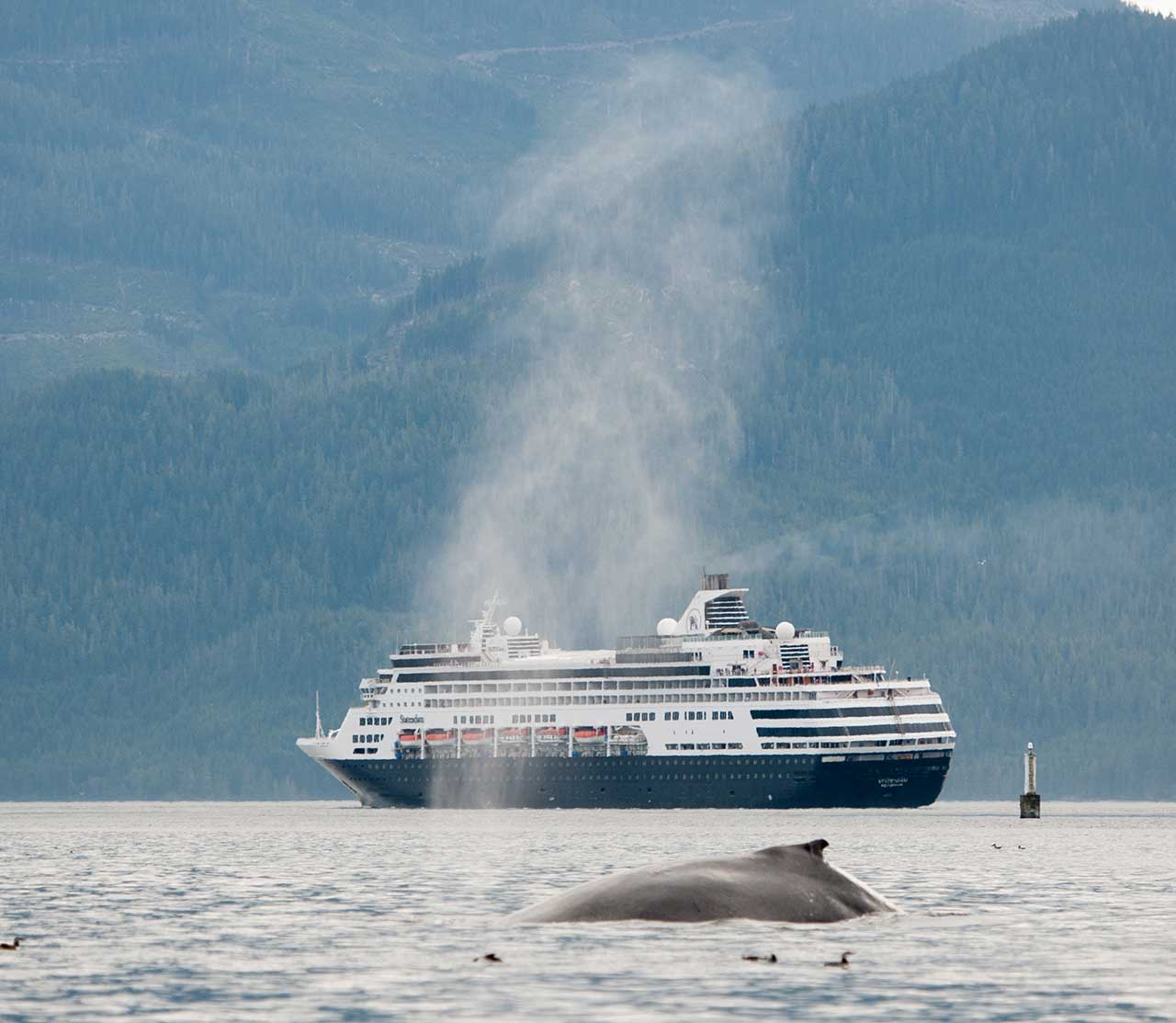 mers marine education research society whale guardian with cruise ship in background s