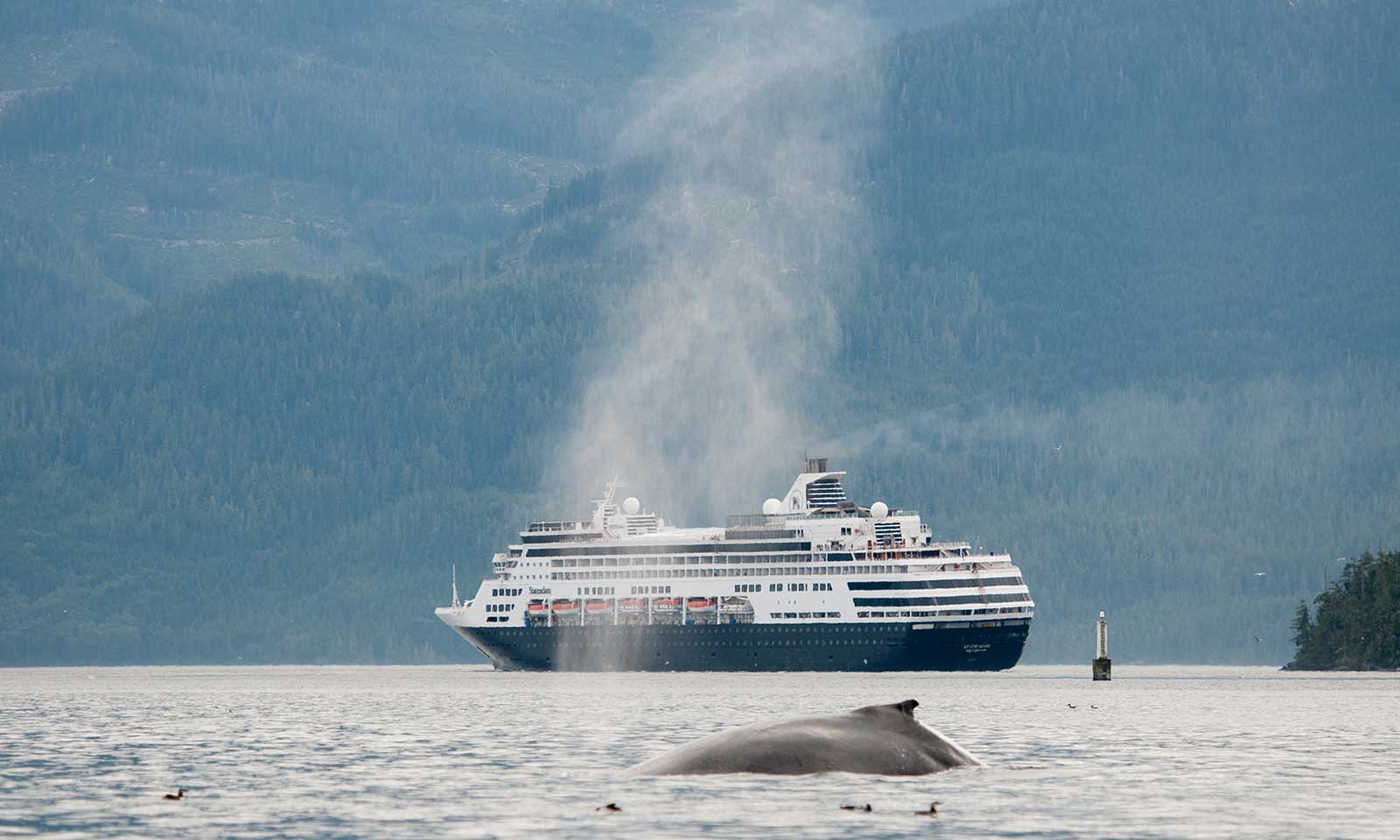 mers marine education research society whale guardian with cruise ship in background